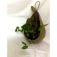 Giỏ Mây Tre Đan Hình Giọt Nước – Treo Tường Trang Trí