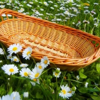 Khay Đan Bầu Dục Trang Trí